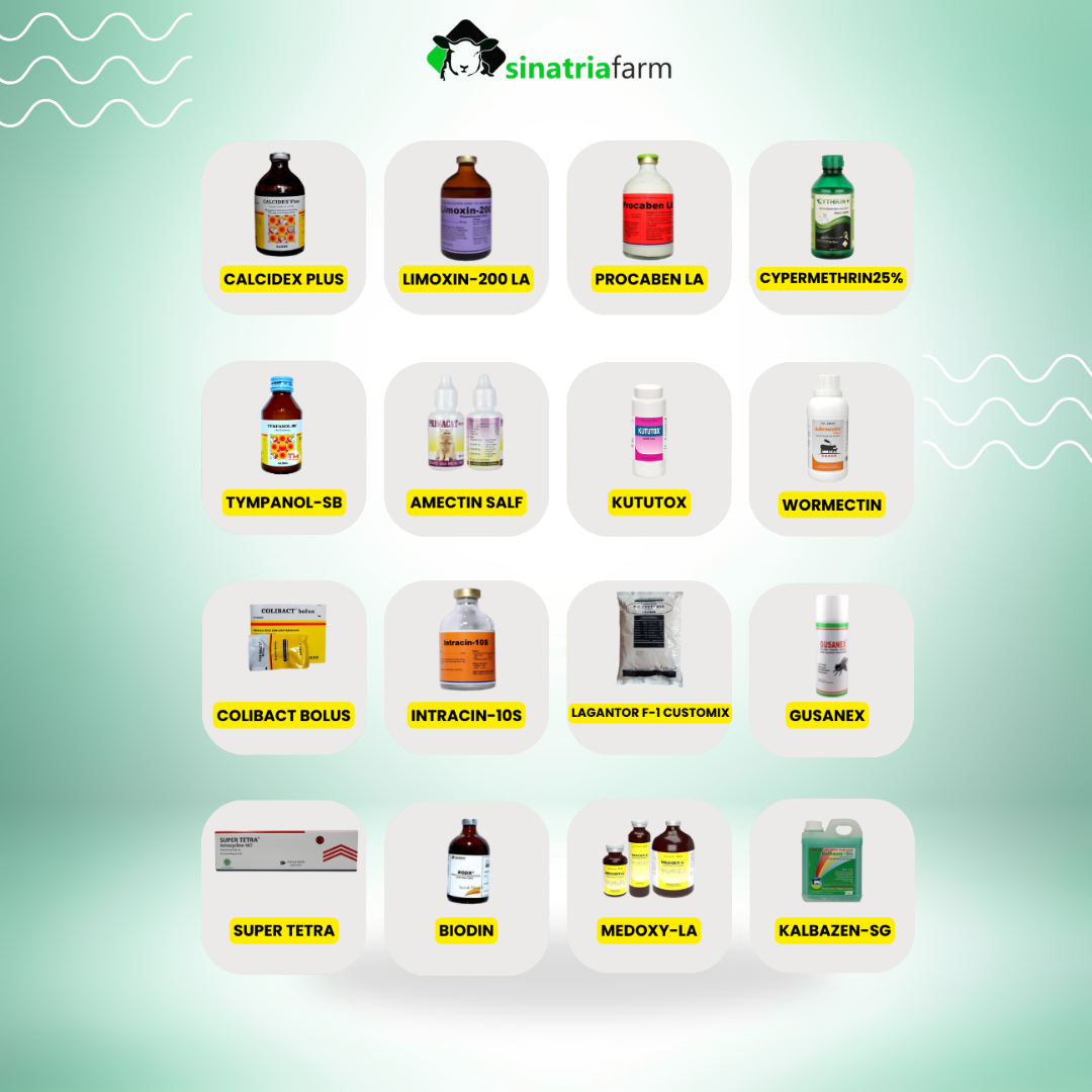 Obat-Obatan Ternak