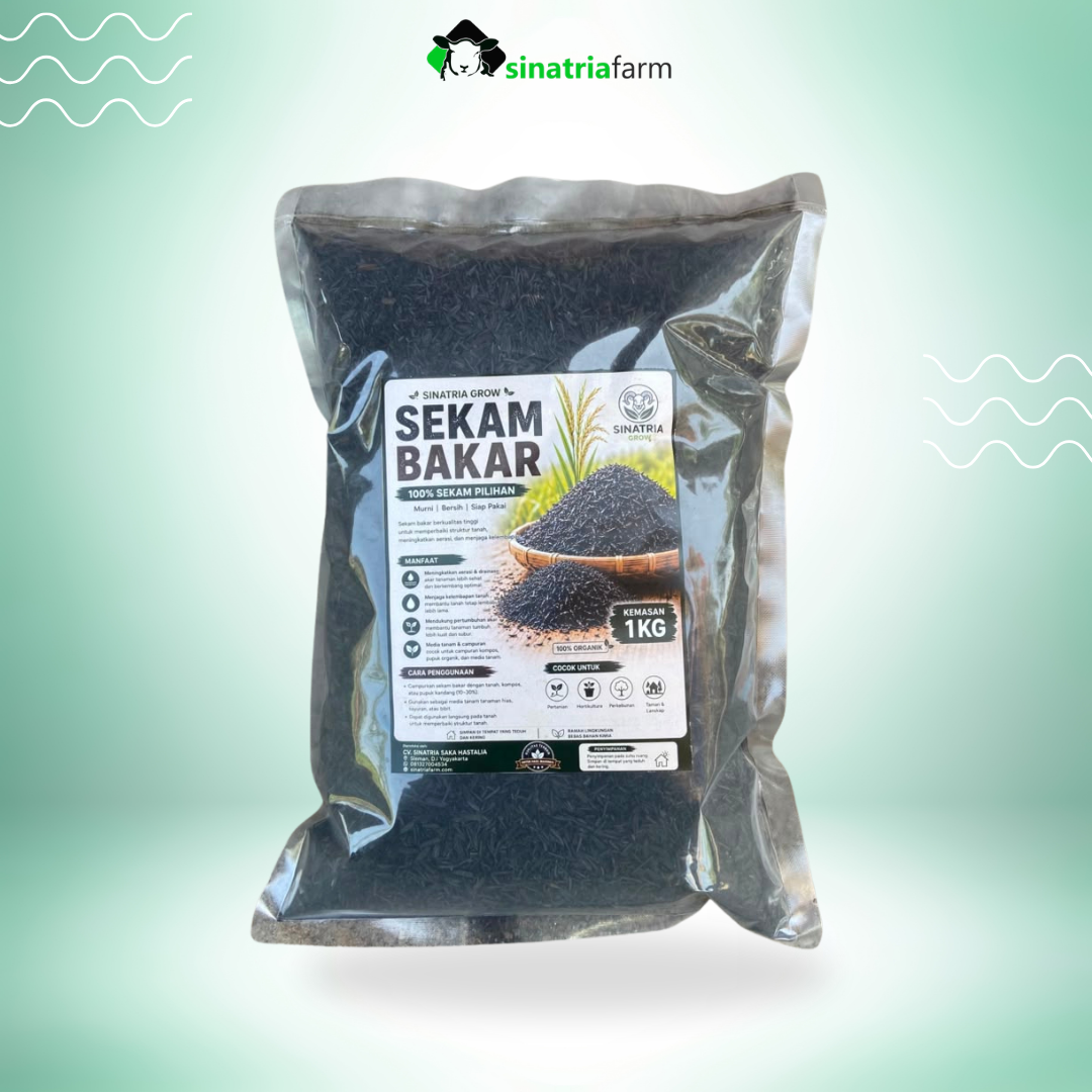 Sekam Bakar